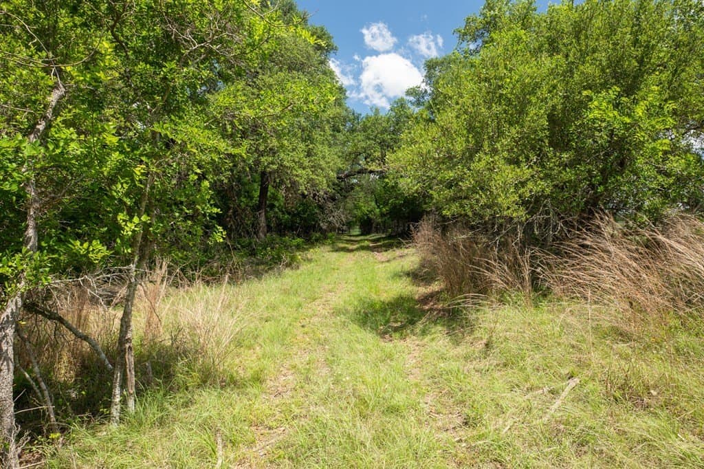 10.26 acres in Gillespie County - photo 8