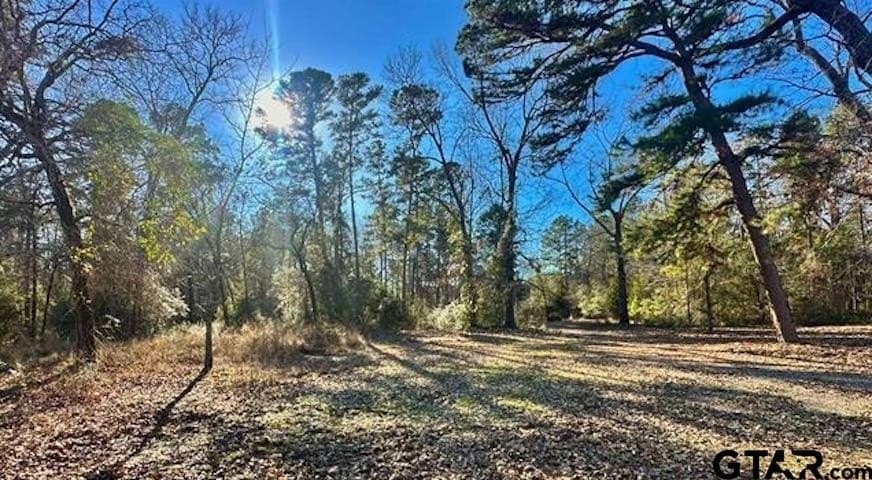 66.29 acres in Anderson County featured view