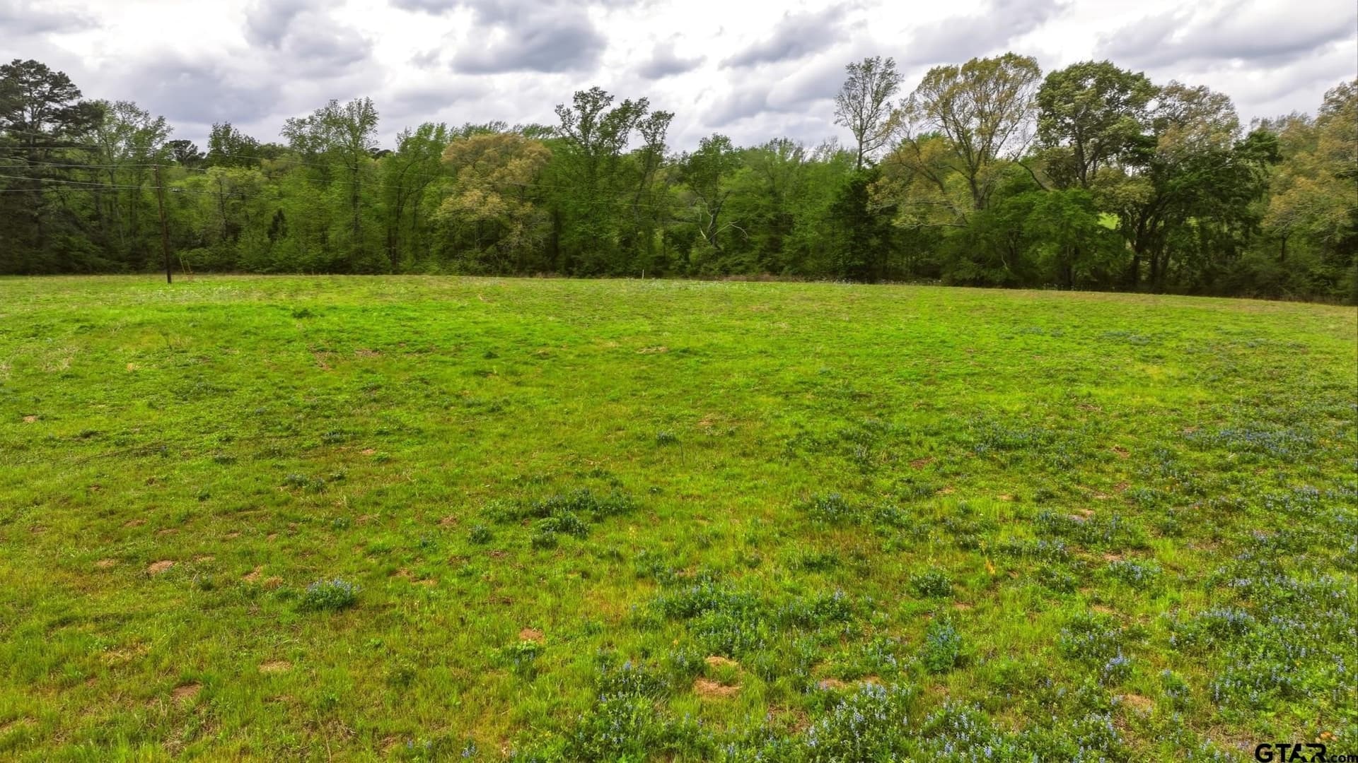 66.29 acres in Anderson County gallery image 4