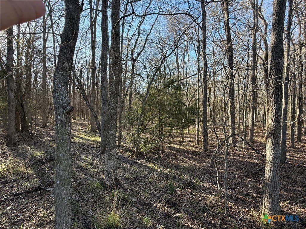 29.5 acres in Guadalupe County - photo 19