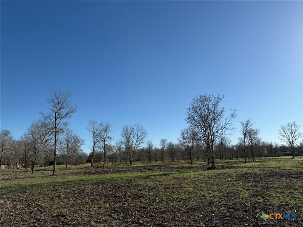 29.5 acres in Guadalupe County gallery image 3