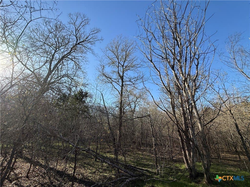 29.5 acres in Guadalupe County - photo 15