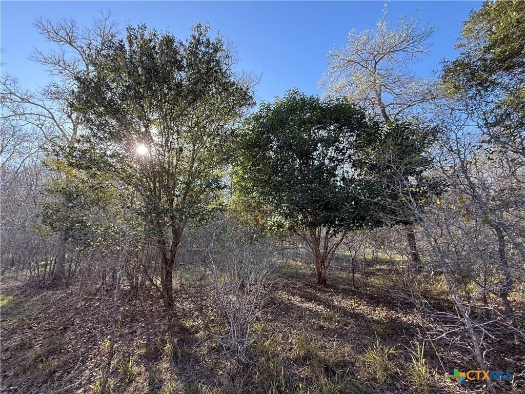 29.5 acres in Guadalupe County - photo 16