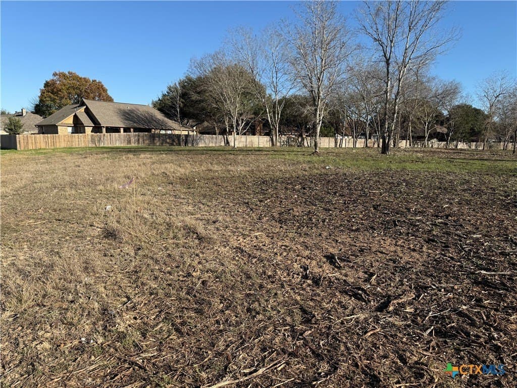 29.5 acres in Guadalupe County gallery image 4