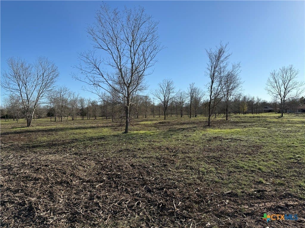 29.5 acres in Guadalupe County