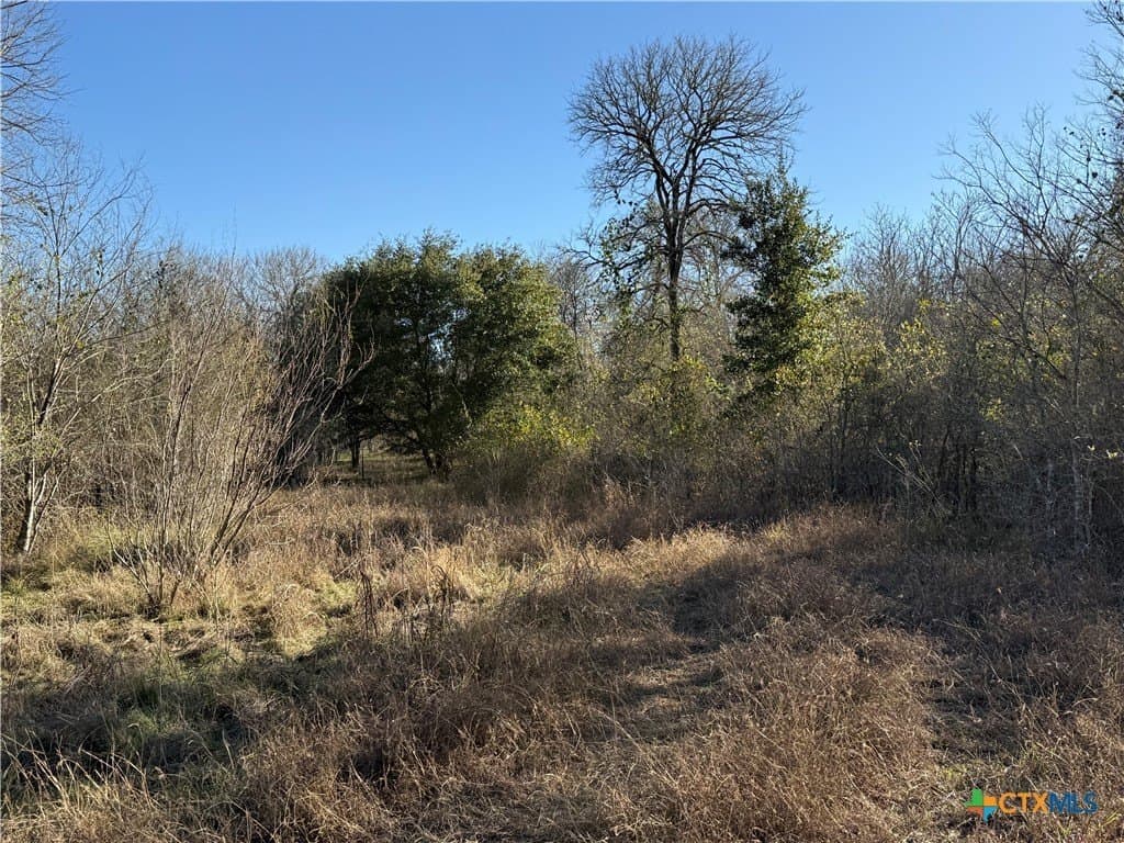 29.5 acres in Guadalupe County - photo 11