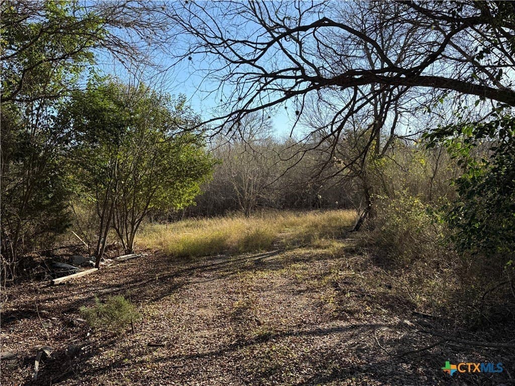 29.5 acres in Guadalupe County - photo 9
