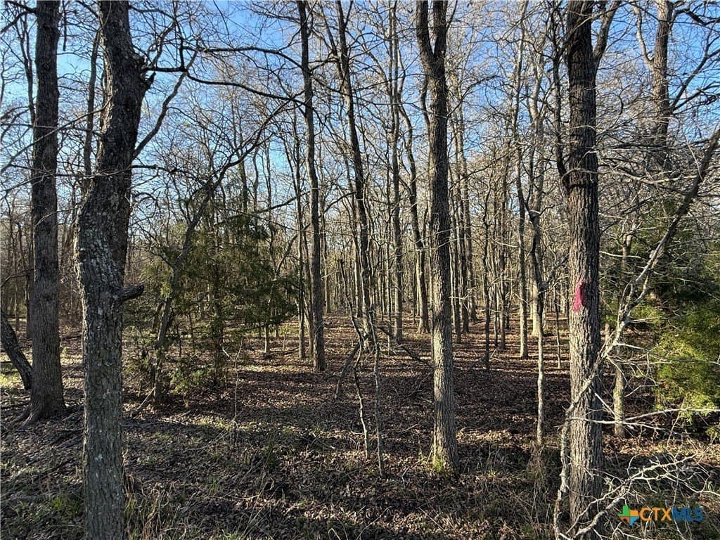 29.5 acres in Guadalupe County - photo 18