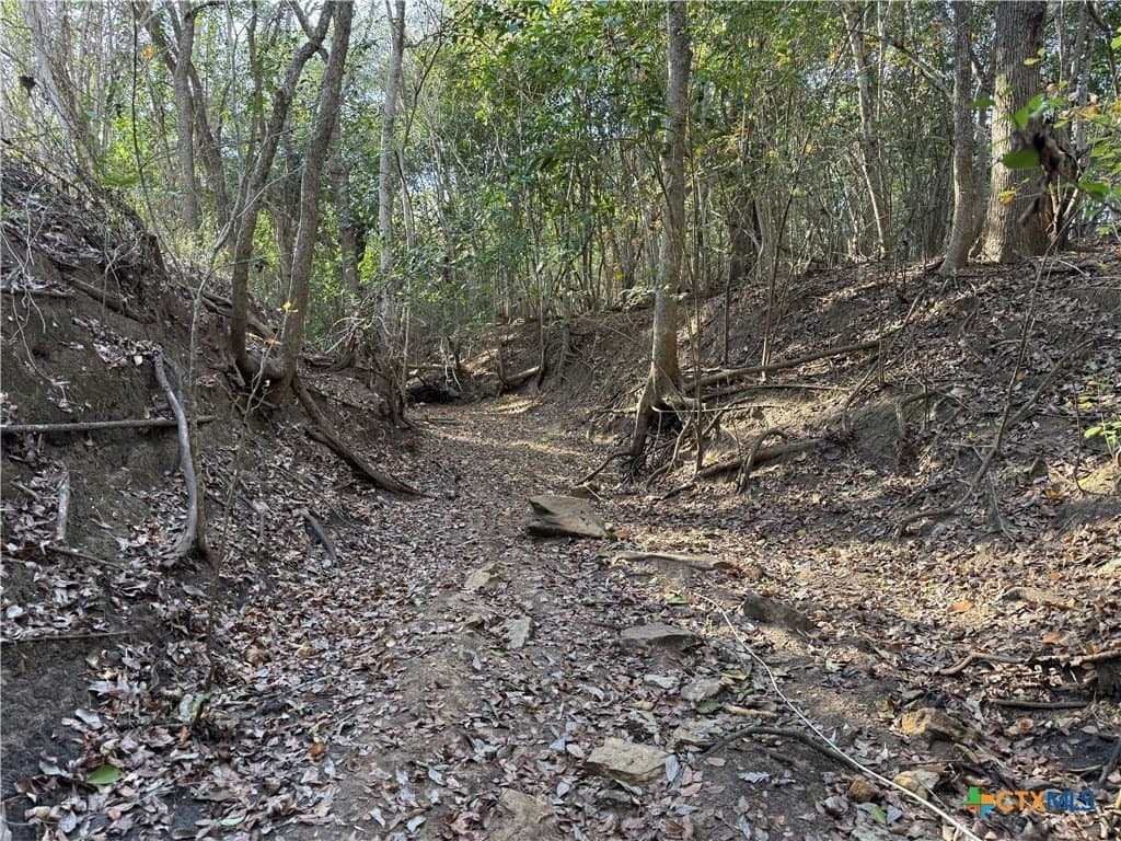 29.5 acres in Guadalupe County - photo 21