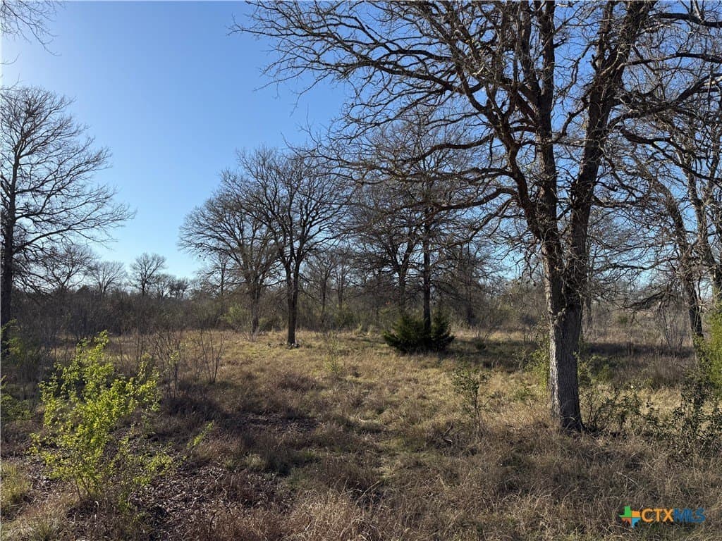 29.5 acres in Guadalupe County featured view