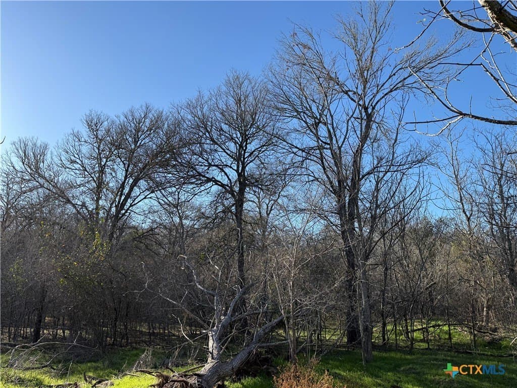 29.5 acres in Guadalupe County - photo 14