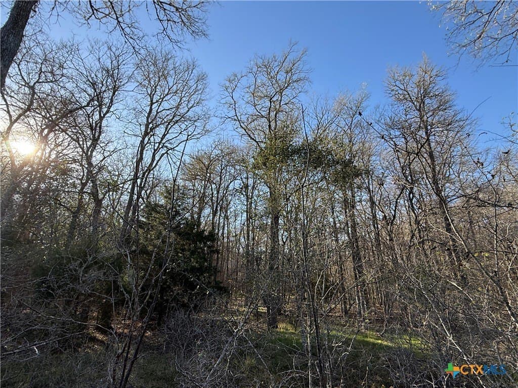 29.5 acres in Guadalupe County - photo 17