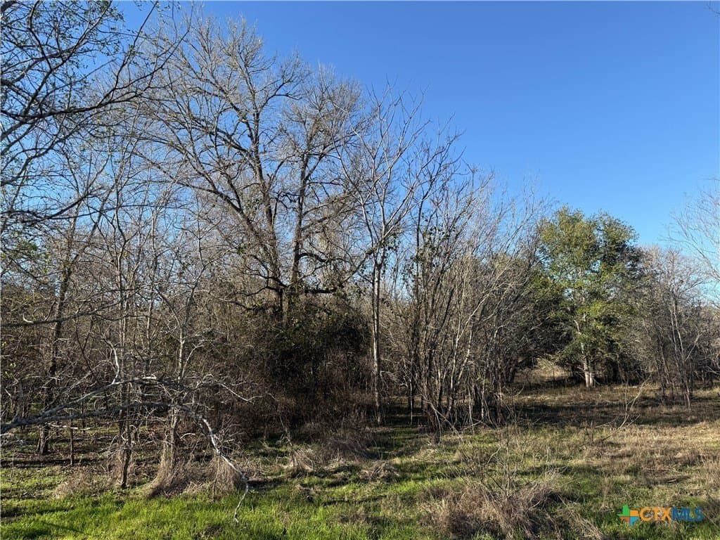 29.5 acres in Guadalupe County - photo 13