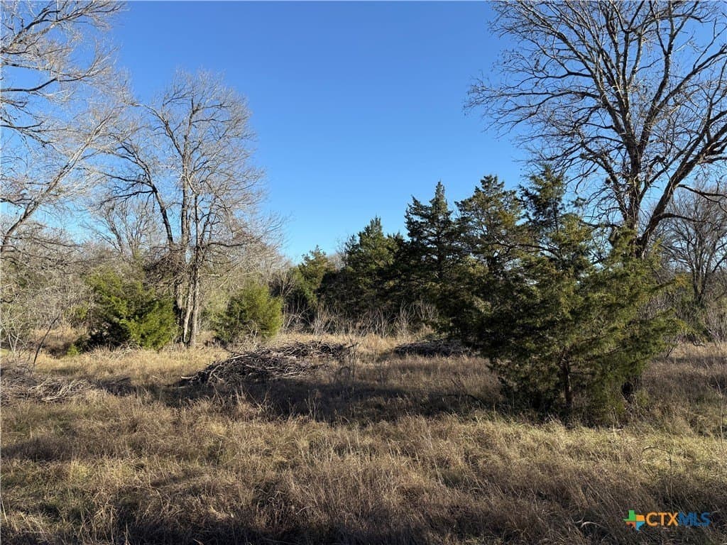 29.5 acres in Guadalupe County - photo 7