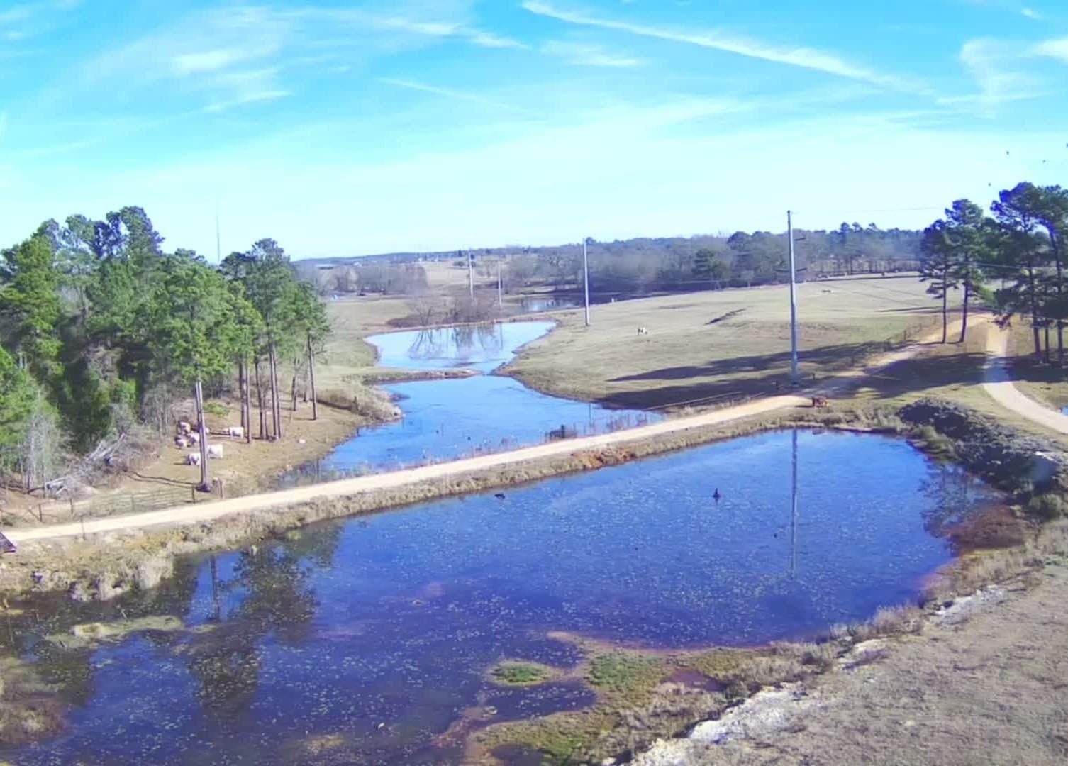 18.2 acres in Upshur County gallery image 4