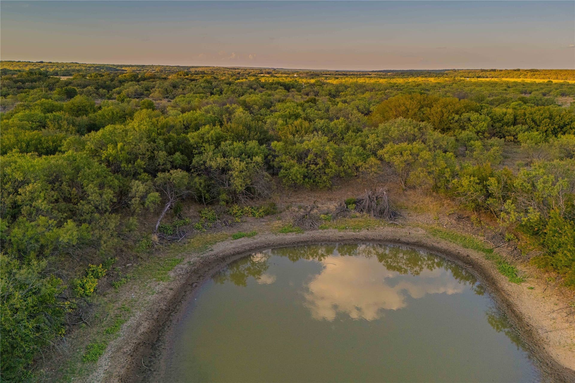 480.2 acres in Callahan County - photo 8
