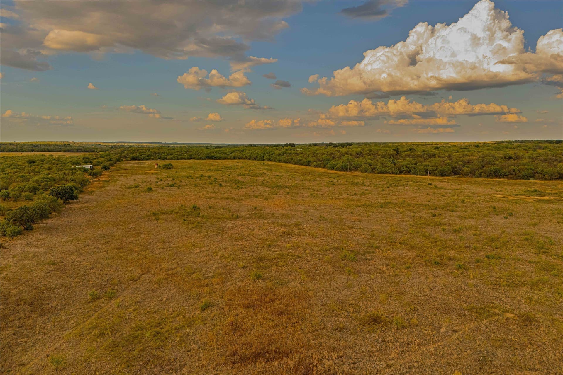 480.2 acres in Callahan County - photo 6
