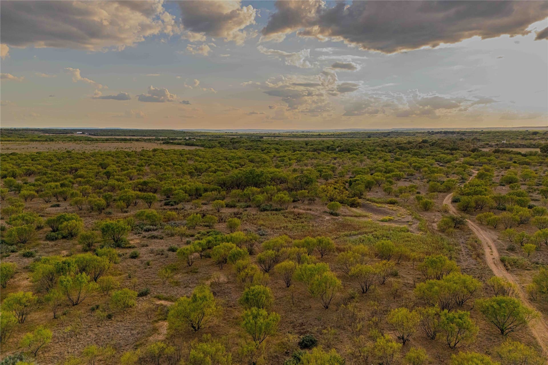480.2 acres in Callahan County - photo 19