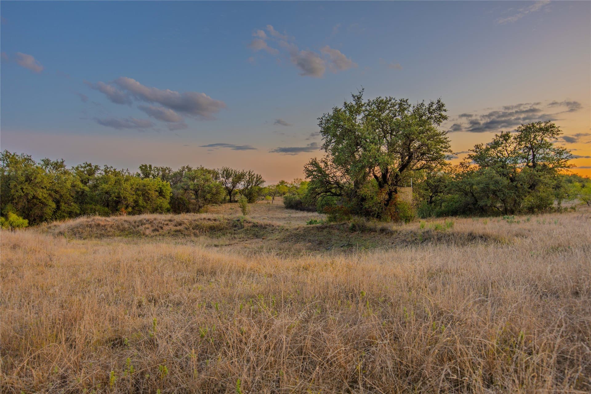 480.2 acres in Callahan County - photo 26