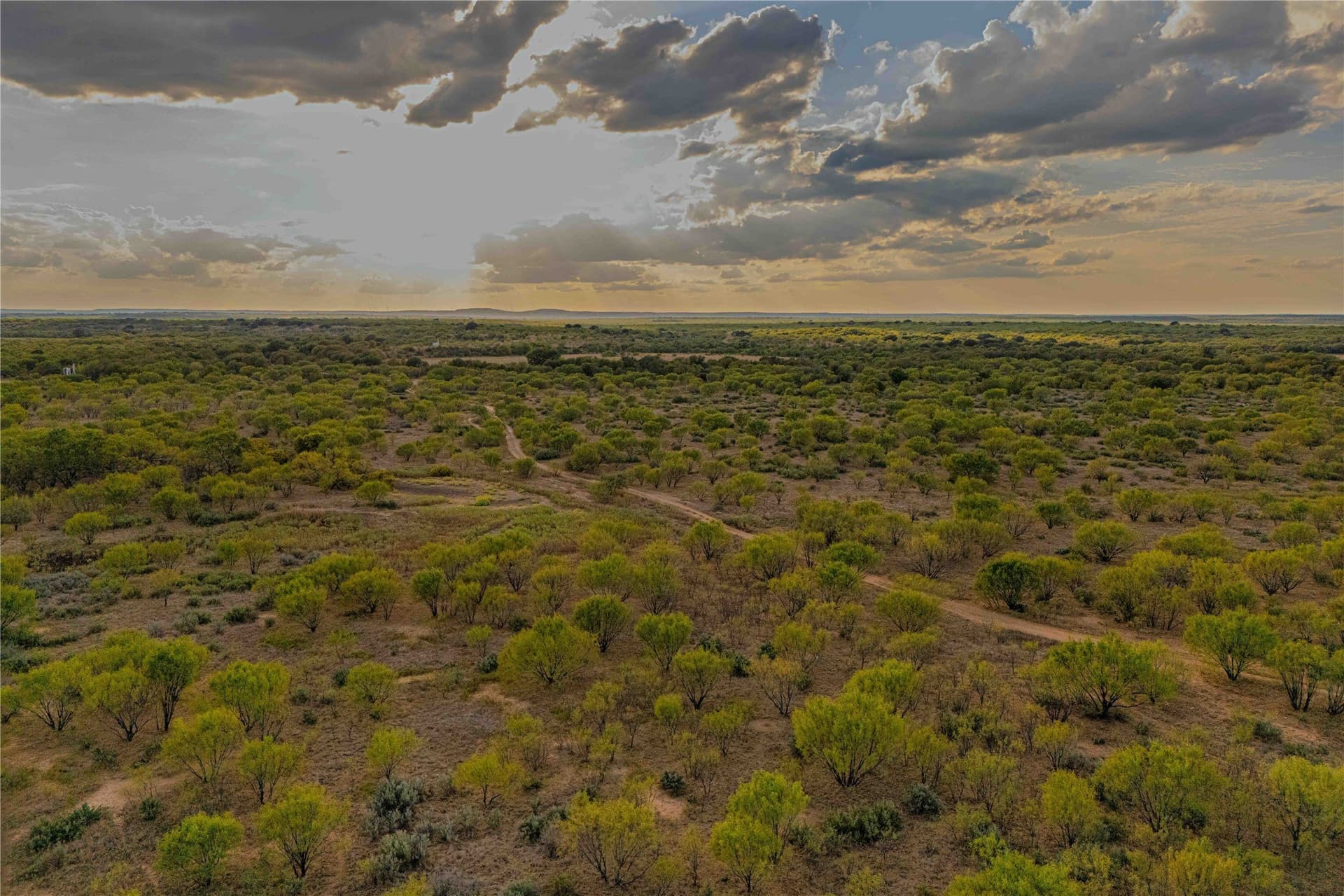 480.2 acres in Callahan County gallery image 4