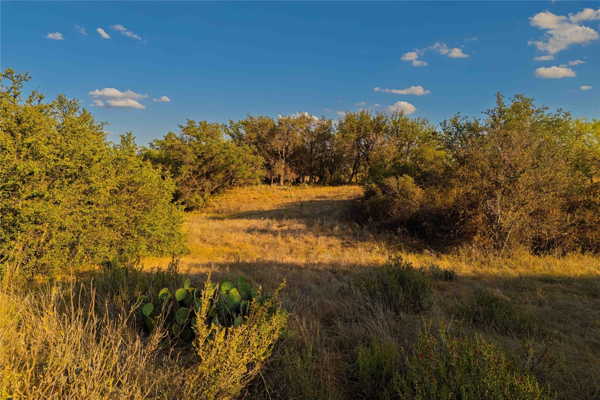 480.2 acres in Callahan County - photo 14