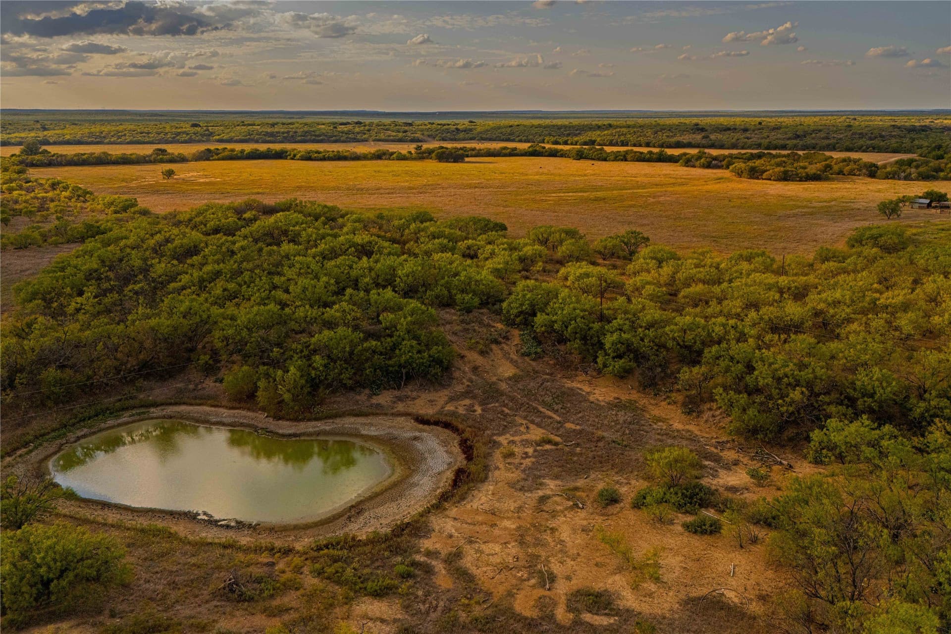 480.2 acres in Callahan County - photo 17