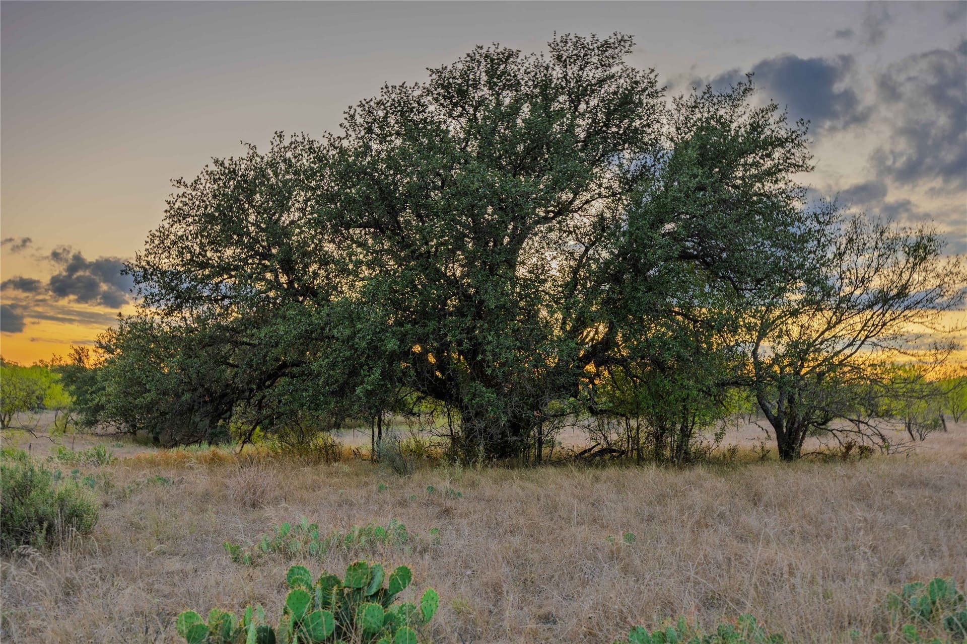 480.2 acres in Callahan County - photo 24