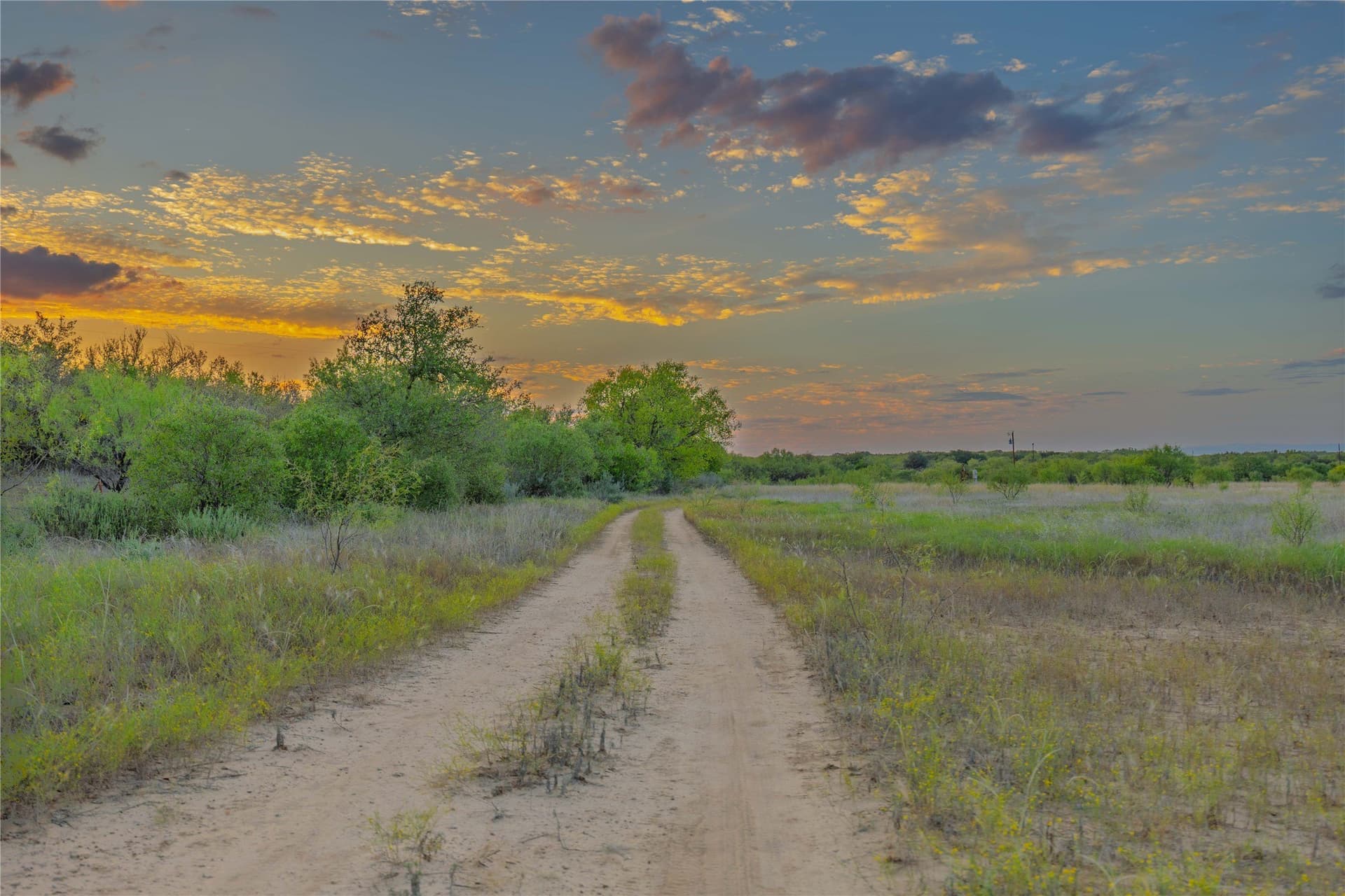 480.2 acres in Callahan County - photo 7