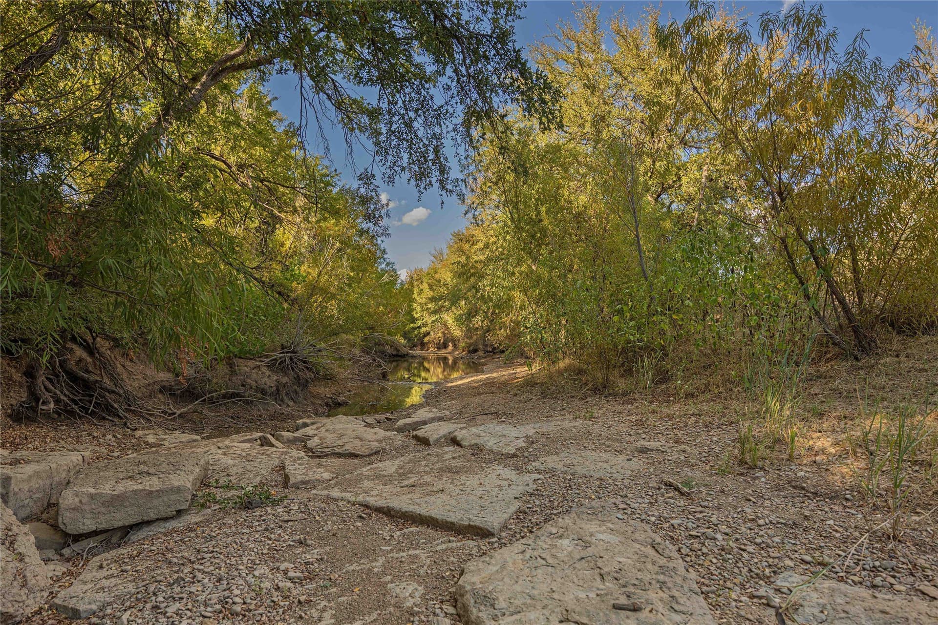 480.2 acres in Callahan County - photo 11