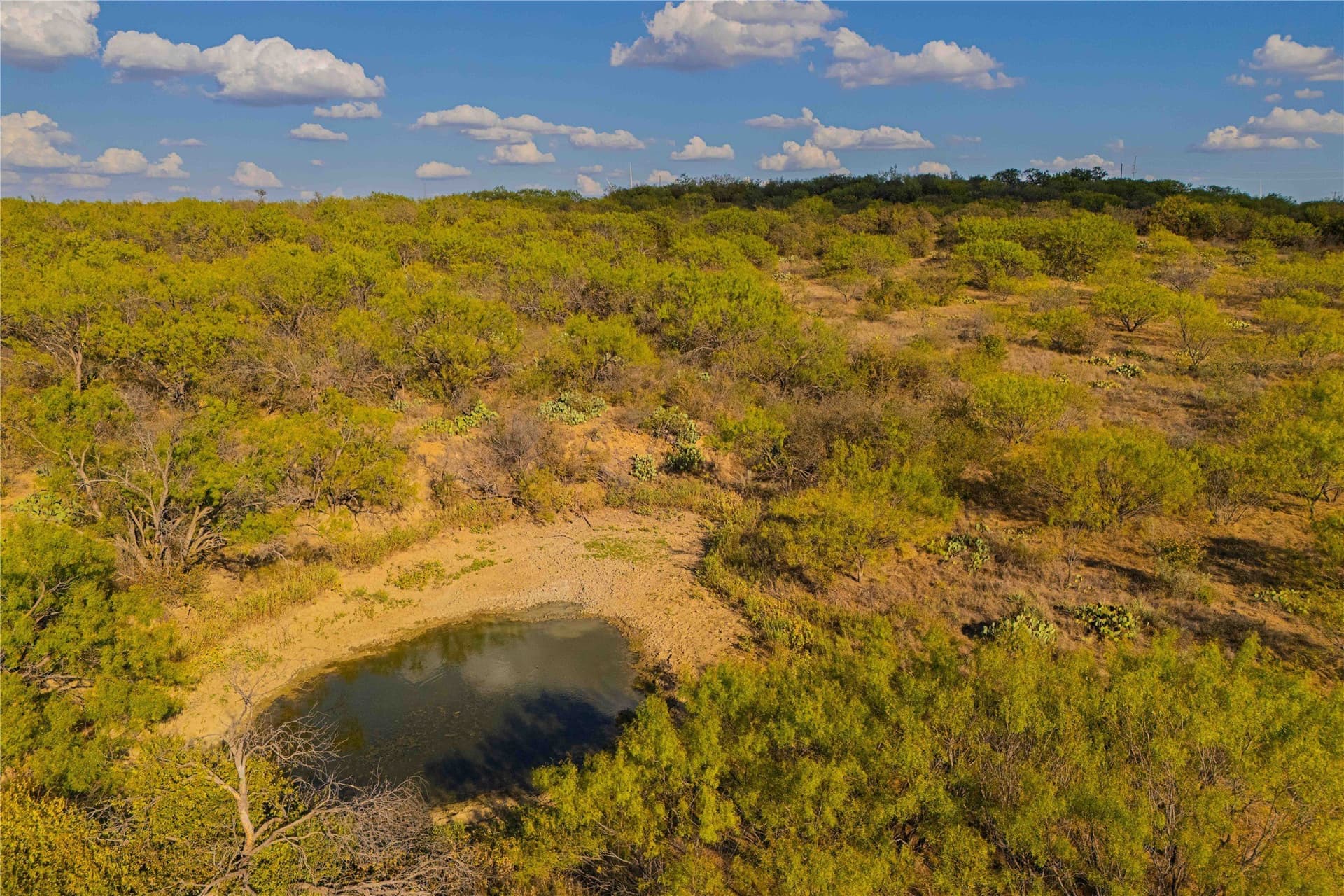 480.2 acres in Callahan County - photo 9