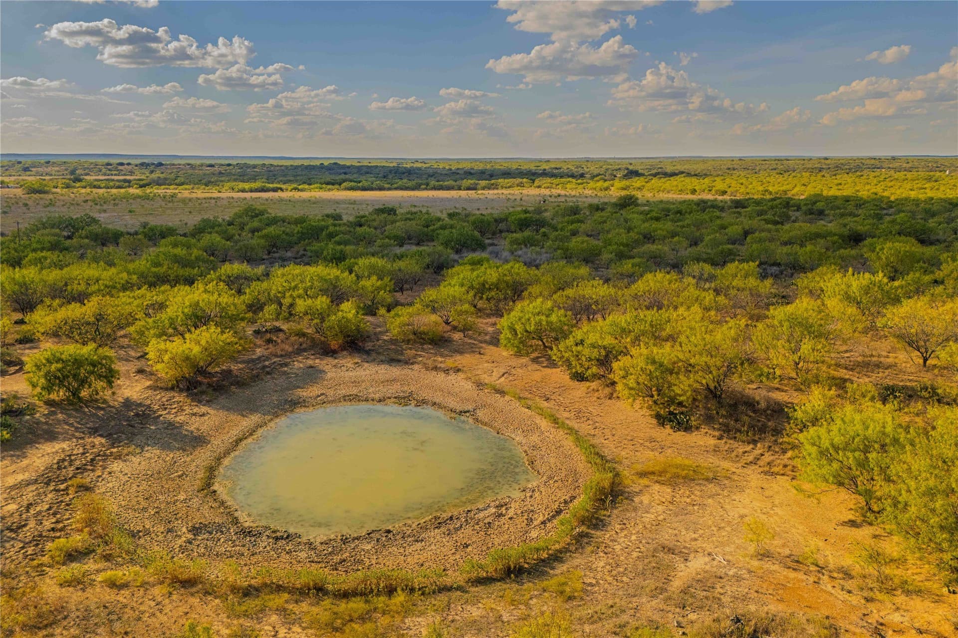 480.2 acres in Callahan County - photo 10