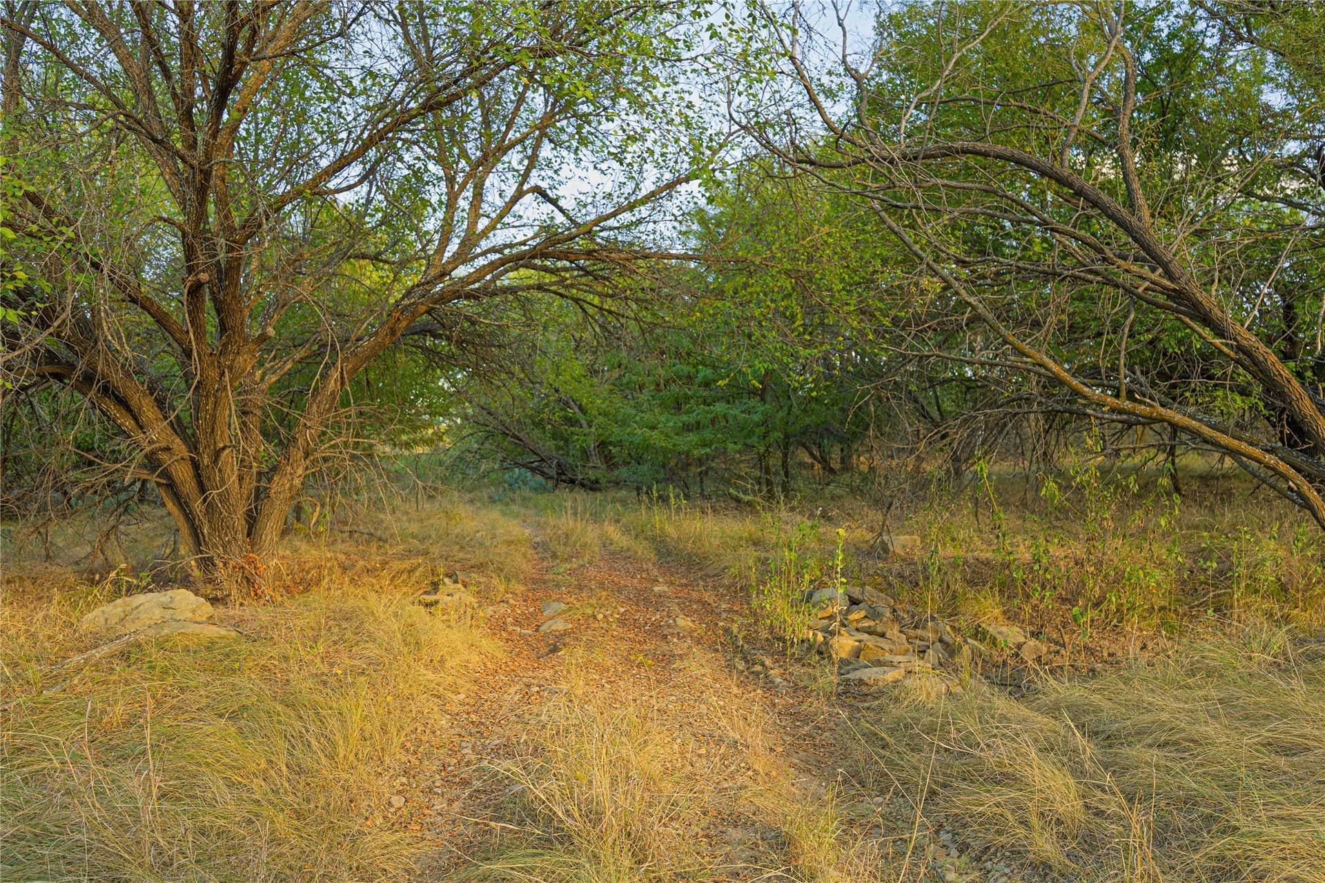 480.2 acres in Callahan County - photo 15