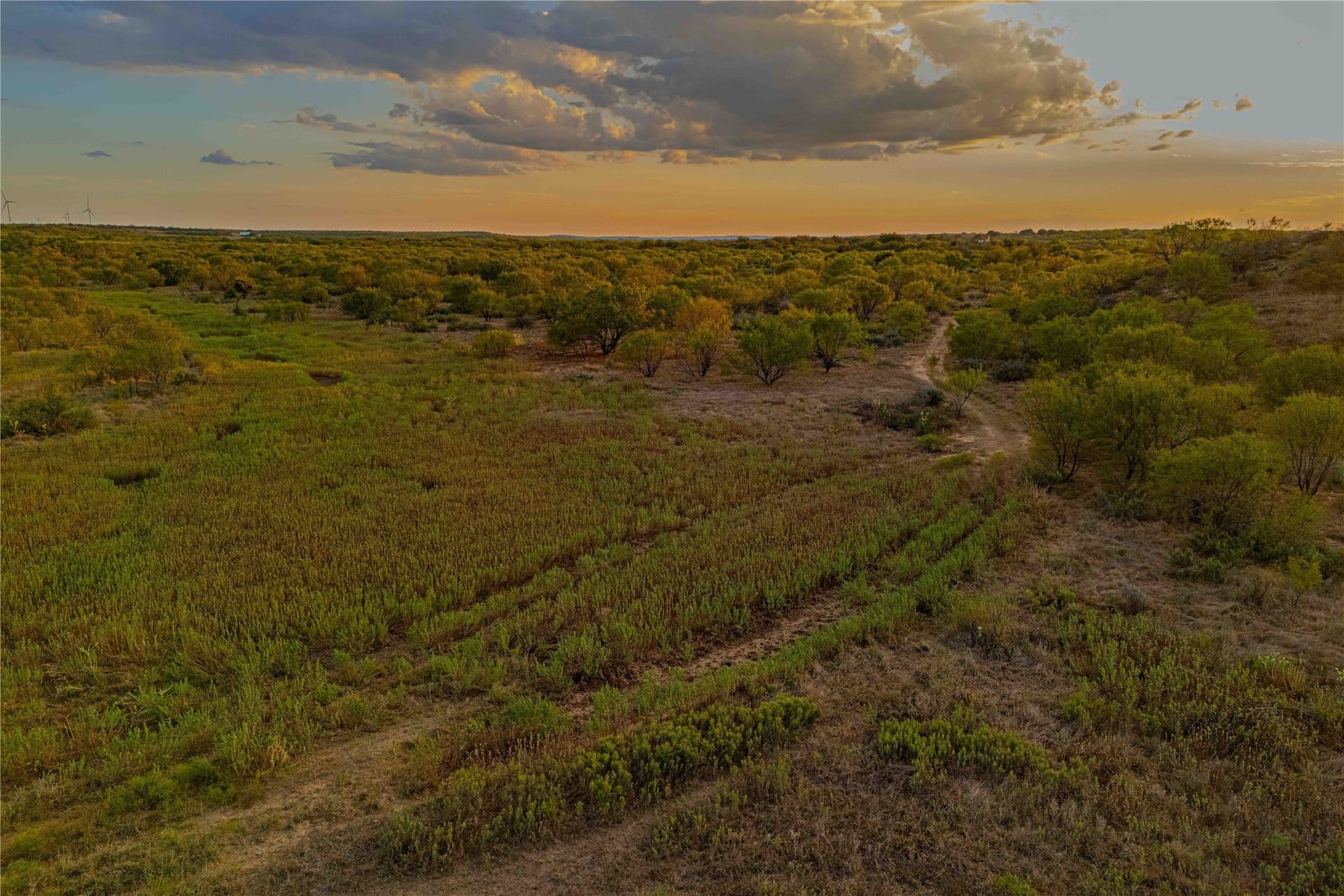 480.2 acres in Callahan County - photo 22