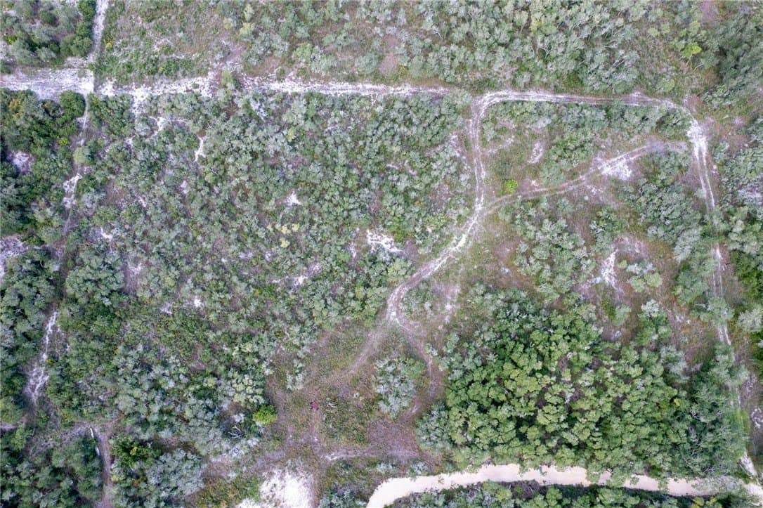 4.41 acres in San Patricio County gallery image 2