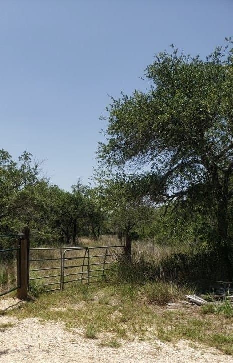 4.41 acres in San Patricio County gallery image 3