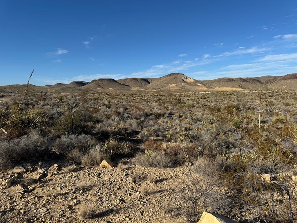20 acres in Brewster County gallery image 3