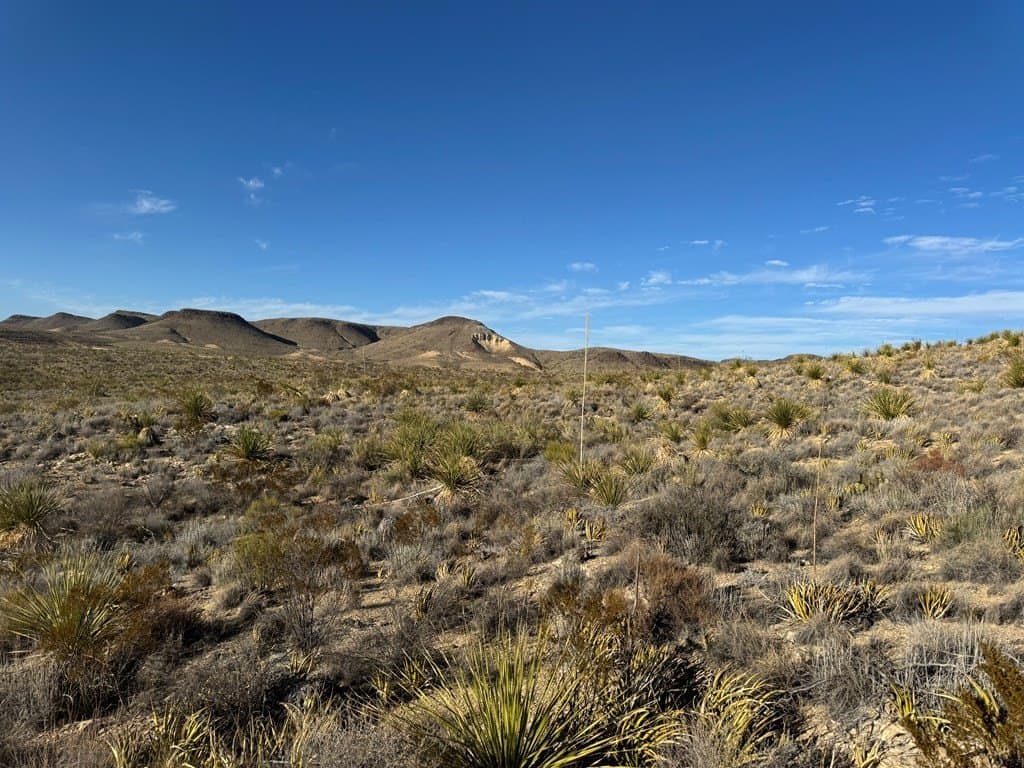 20 acres in Brewster County - photo 8
