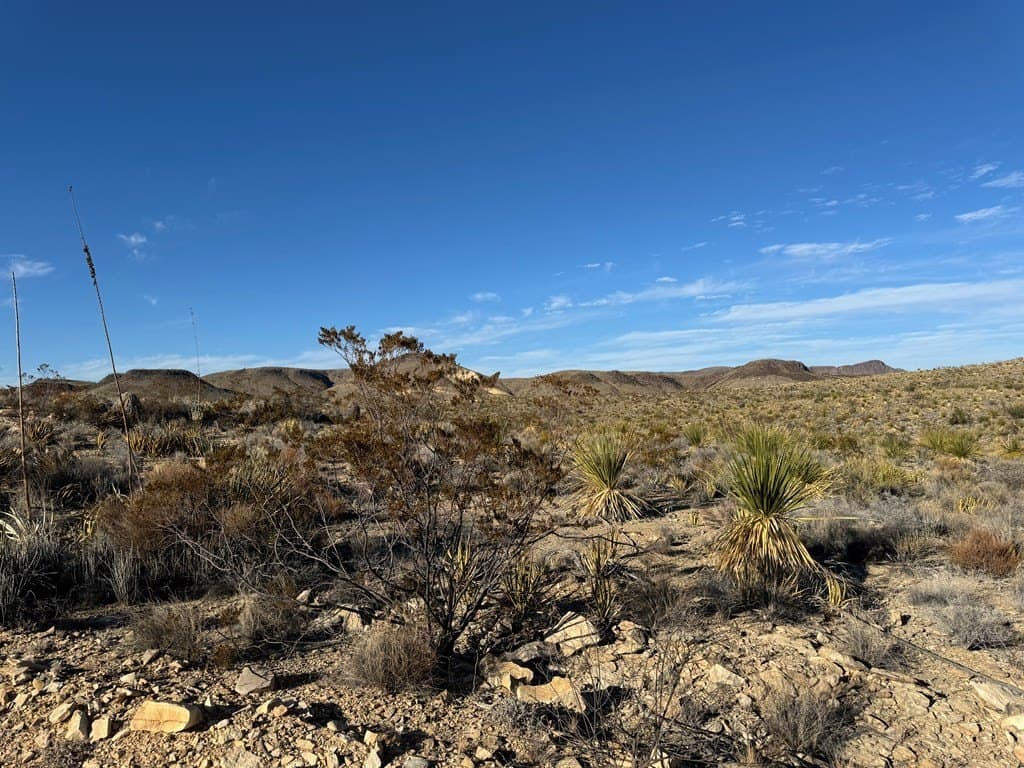 20 acres in Brewster County - photo 7