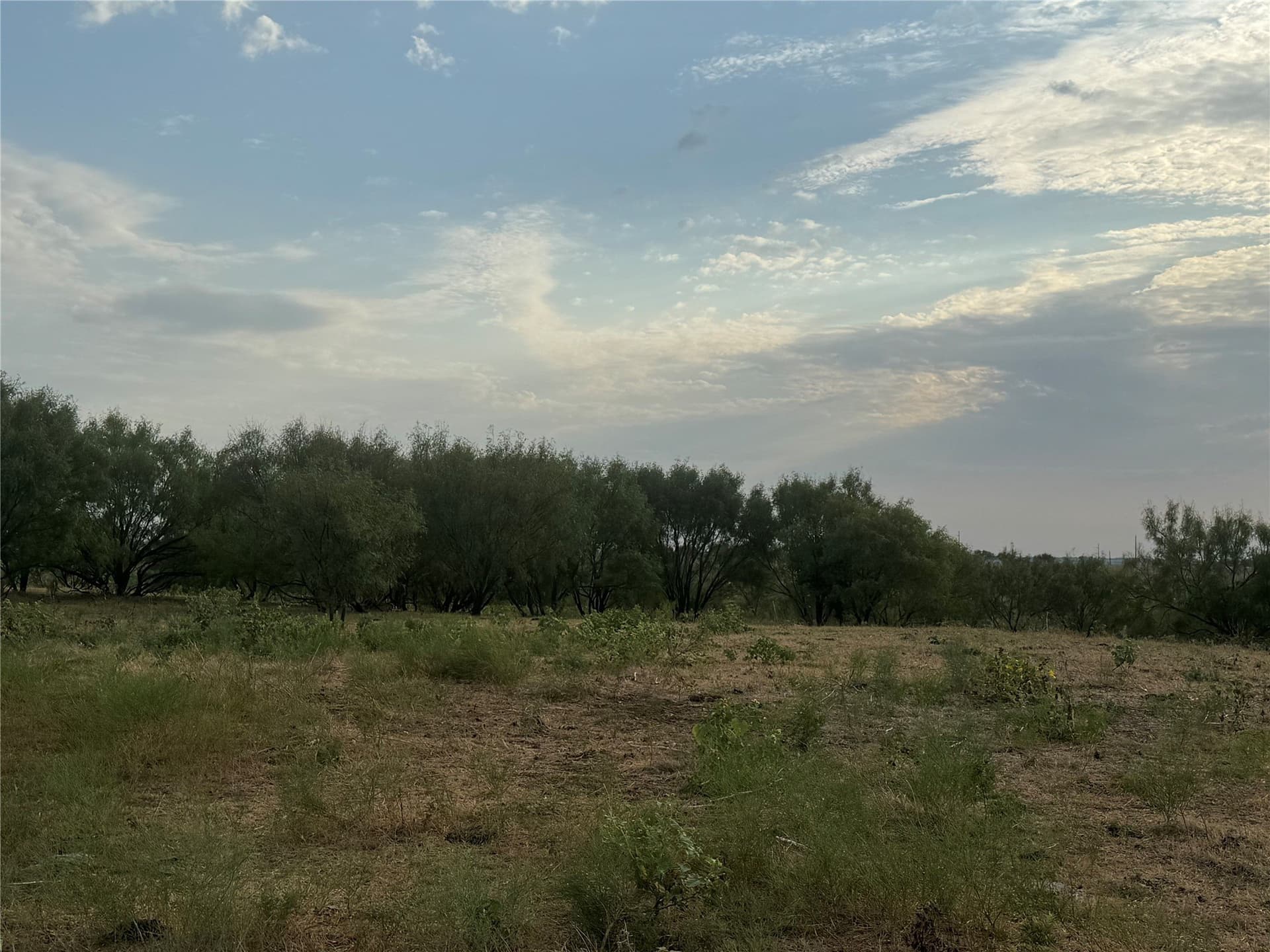 10.05 acres in Wise County - photo 6