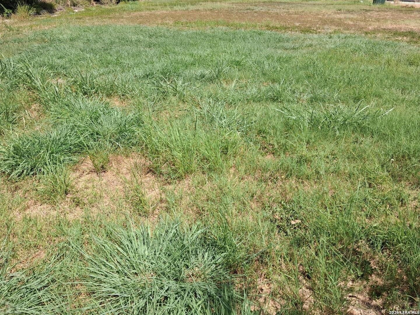 0.37 acres in Bexar County - photo 3