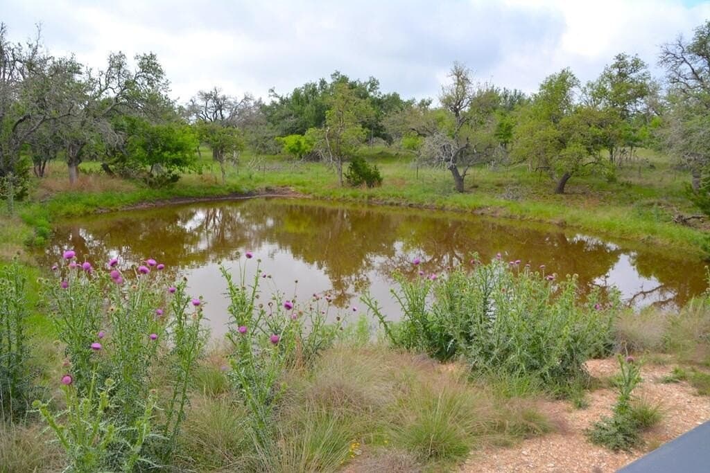 57.15 acres in Gillespie County - photo 7