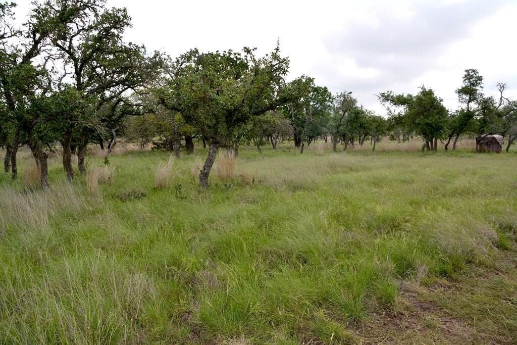 57.15 acres in Gillespie County - photo 12