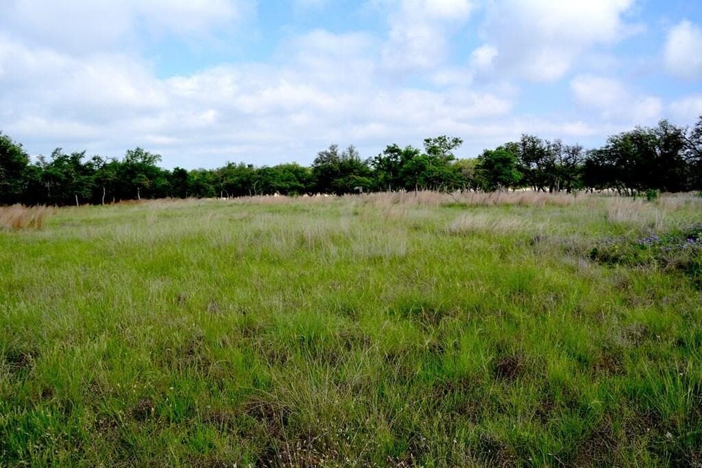 57.15 acres in Gillespie County - photo 17