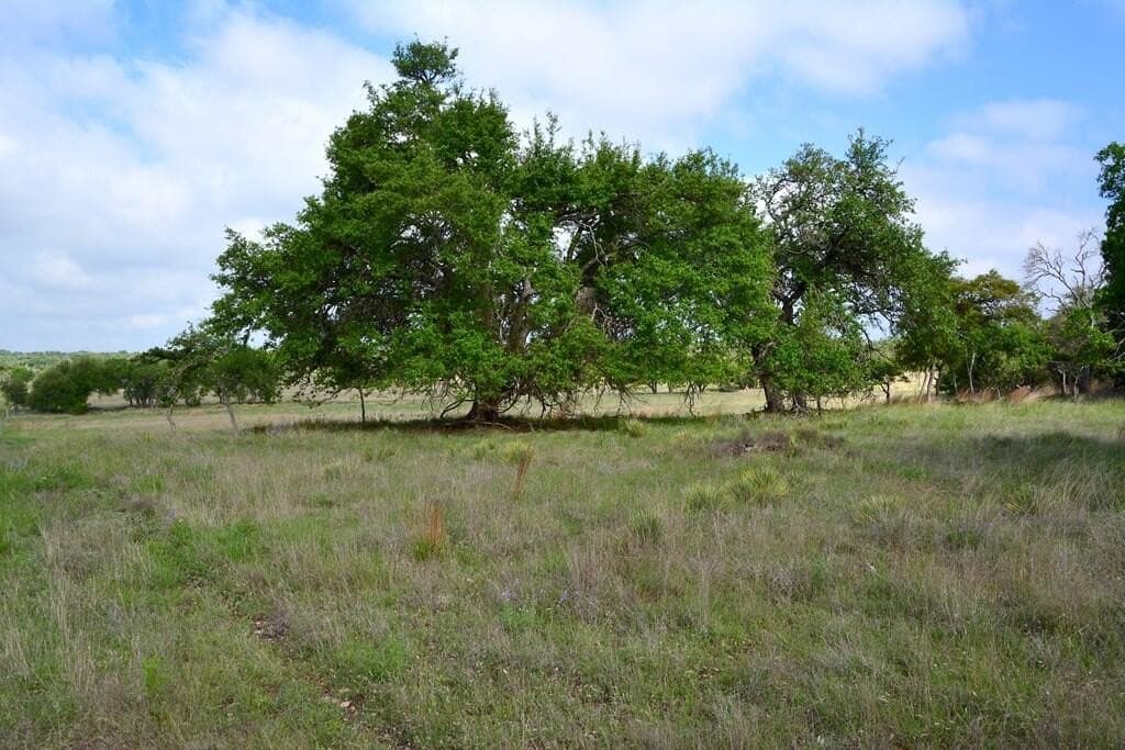 57.15 acres in Gillespie County - photo 21