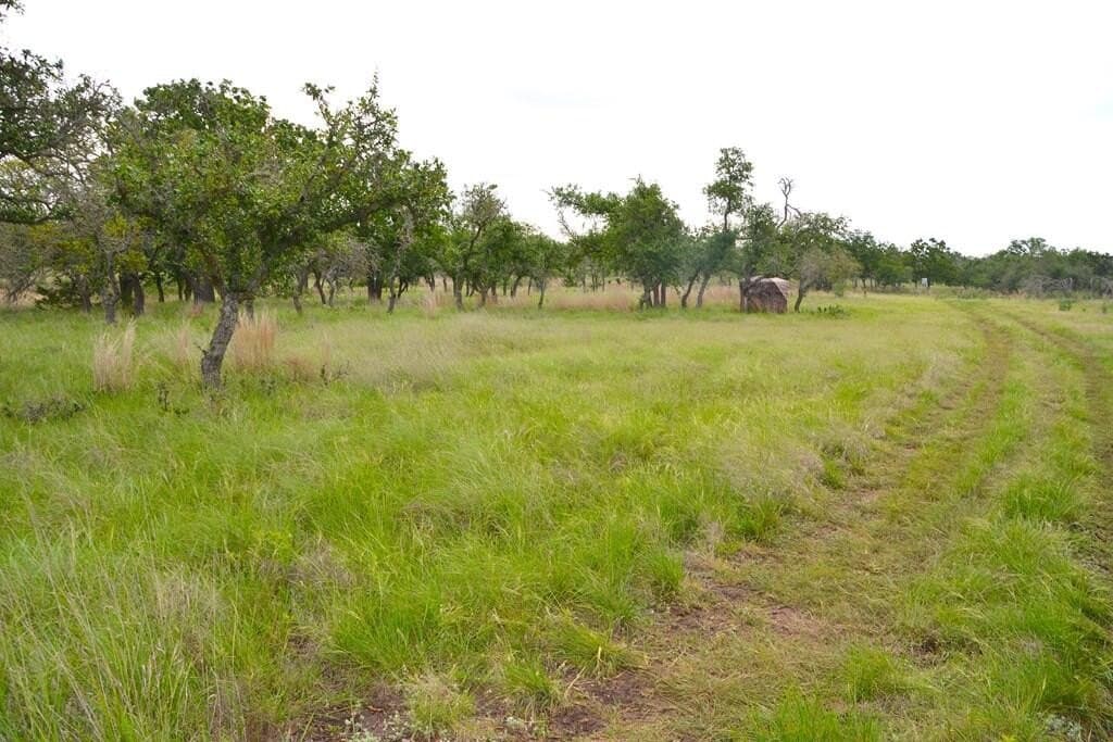 57.15 acres in Gillespie County - photo 14