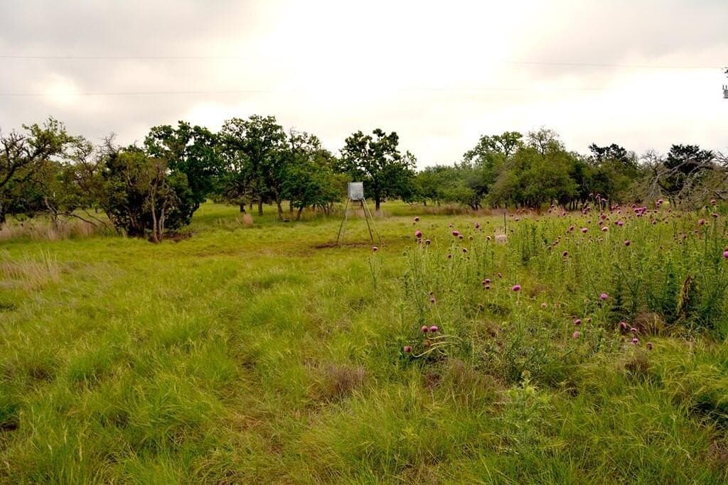 57.15 acres in Gillespie County - photo 11