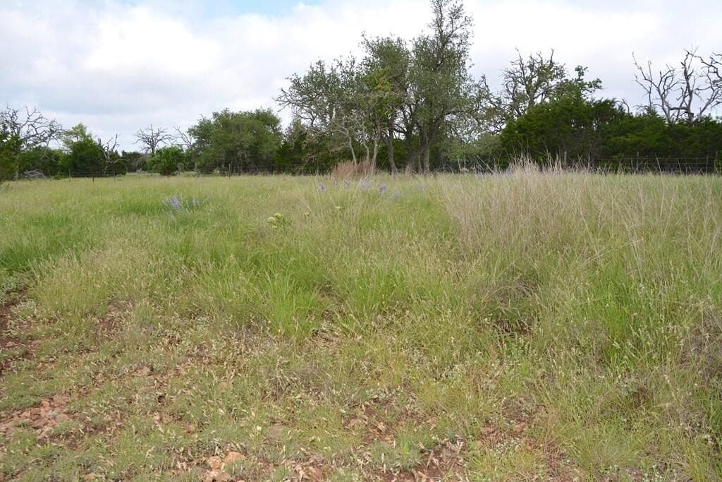 57.15 acres in Gillespie County - photo 10