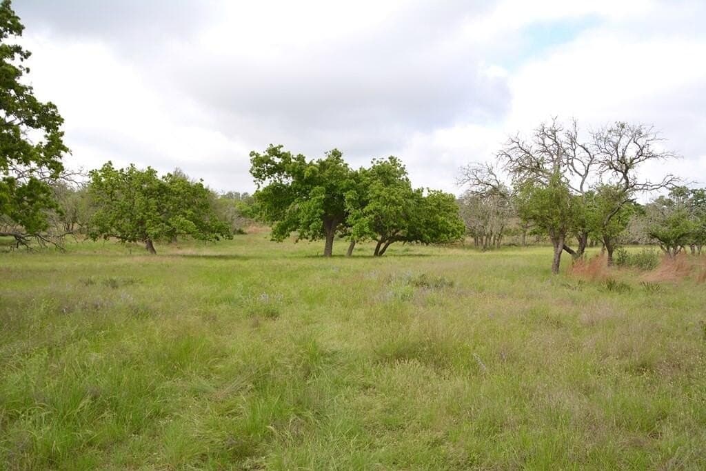 57.15 acres in Gillespie County - photo 15