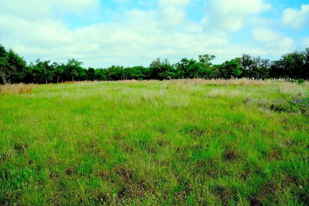 57.15 acres in Gillespie County - photo 16