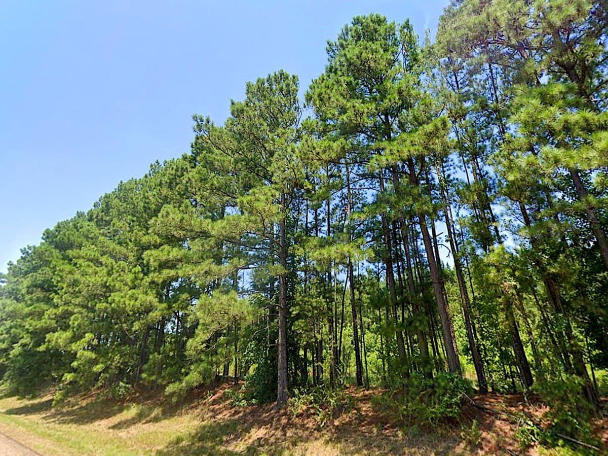 27 acres in Cass County - photo 3